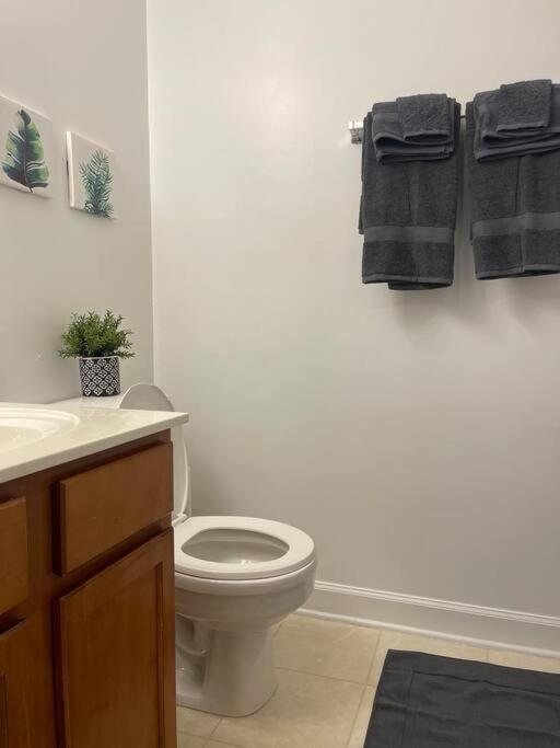 Simple Elegant Townhouse Dt Raleigh Ncsu Apartman Kültér fotó